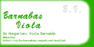 barnabas viola business card